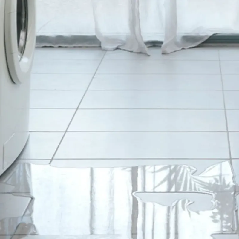 Appliance Leak Cleanup in White Oak, MD